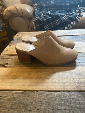 Nisolo mules